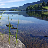 fresh-water